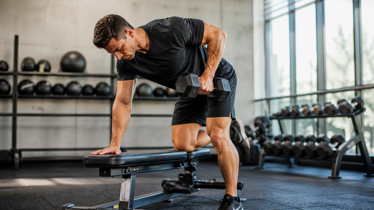 Best exercises each muscle group guide | VitalHealth Hub